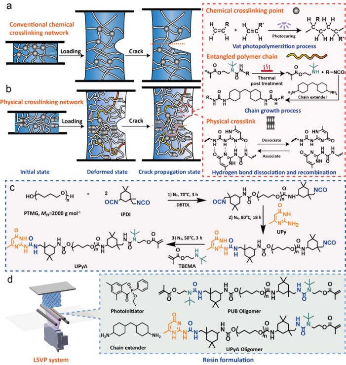 福建物构所在光固化3D打印抗撕裂弹性体取得新突破